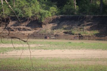 Ich bin ein Alternativtext