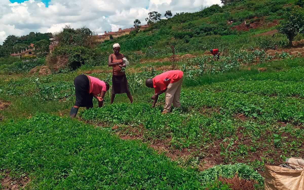 Combining multiple strands: This is SEWOH Lab