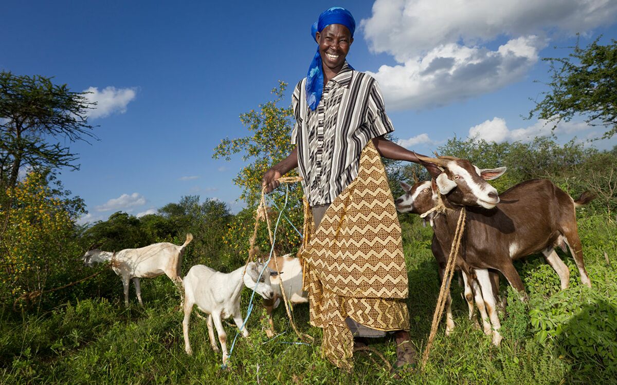 Police gegen Katastrophen