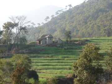 Ich bin ein Alternativtext