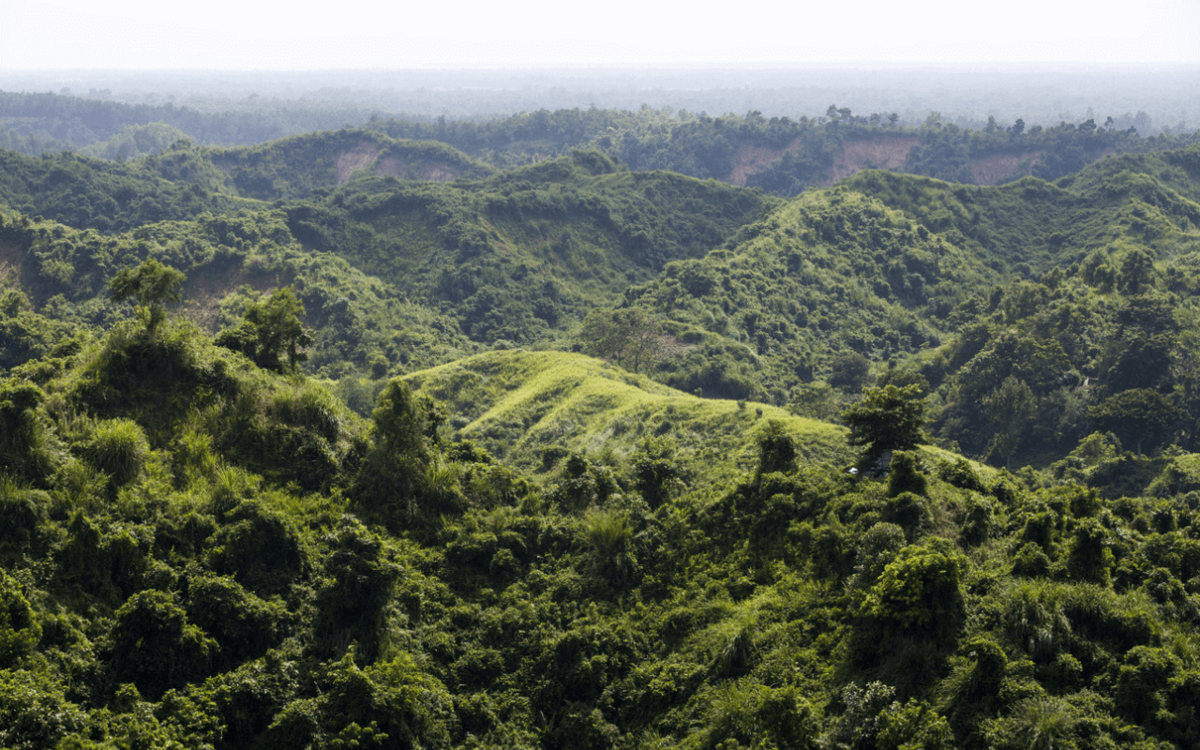 Mit der Natur vielfältig anbauen, Klima schützen & Menschen stärken