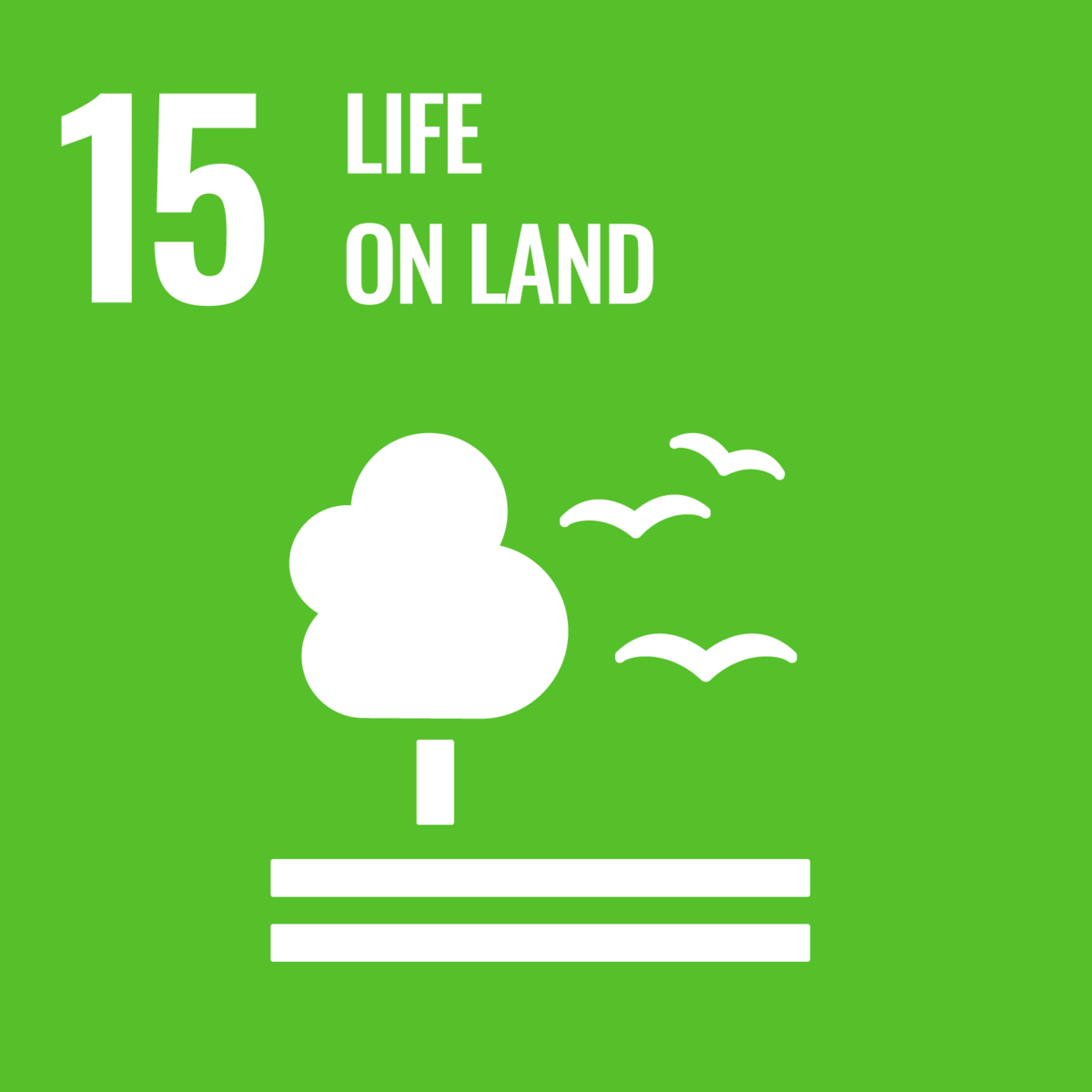 SDG 15 – Eating up life on land