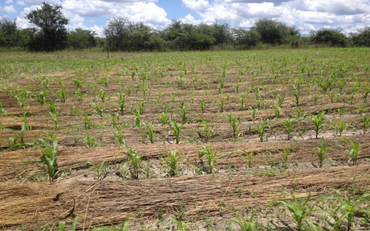 COST-BENEFIT ANALYSES FOR MORE SOIL CONSERVATION