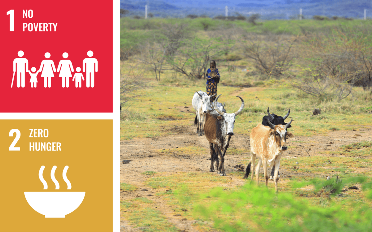 Ernährung und Landwirtschaft im Kontext unterschiedlicher Nachhaltigkeitsdimensionen