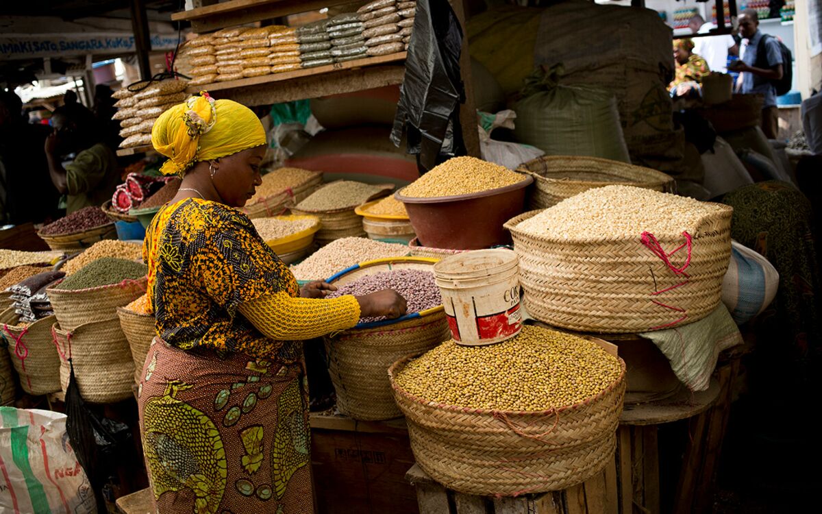 "Nutrition is a human right"