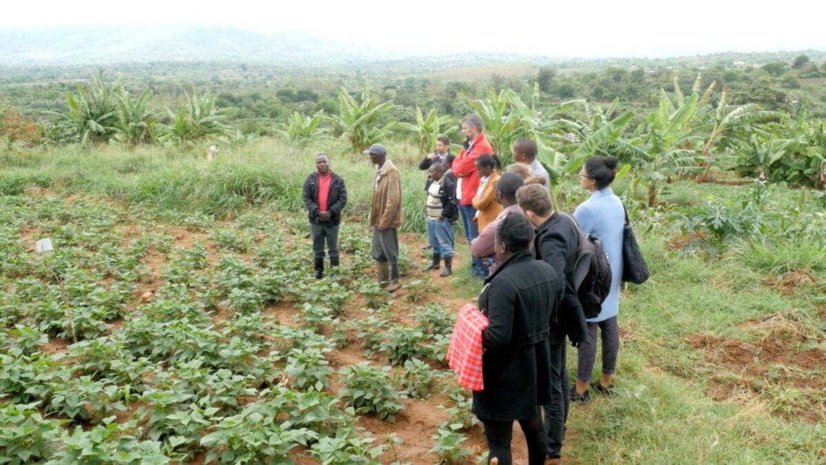 Ich bin ein Alternativtext