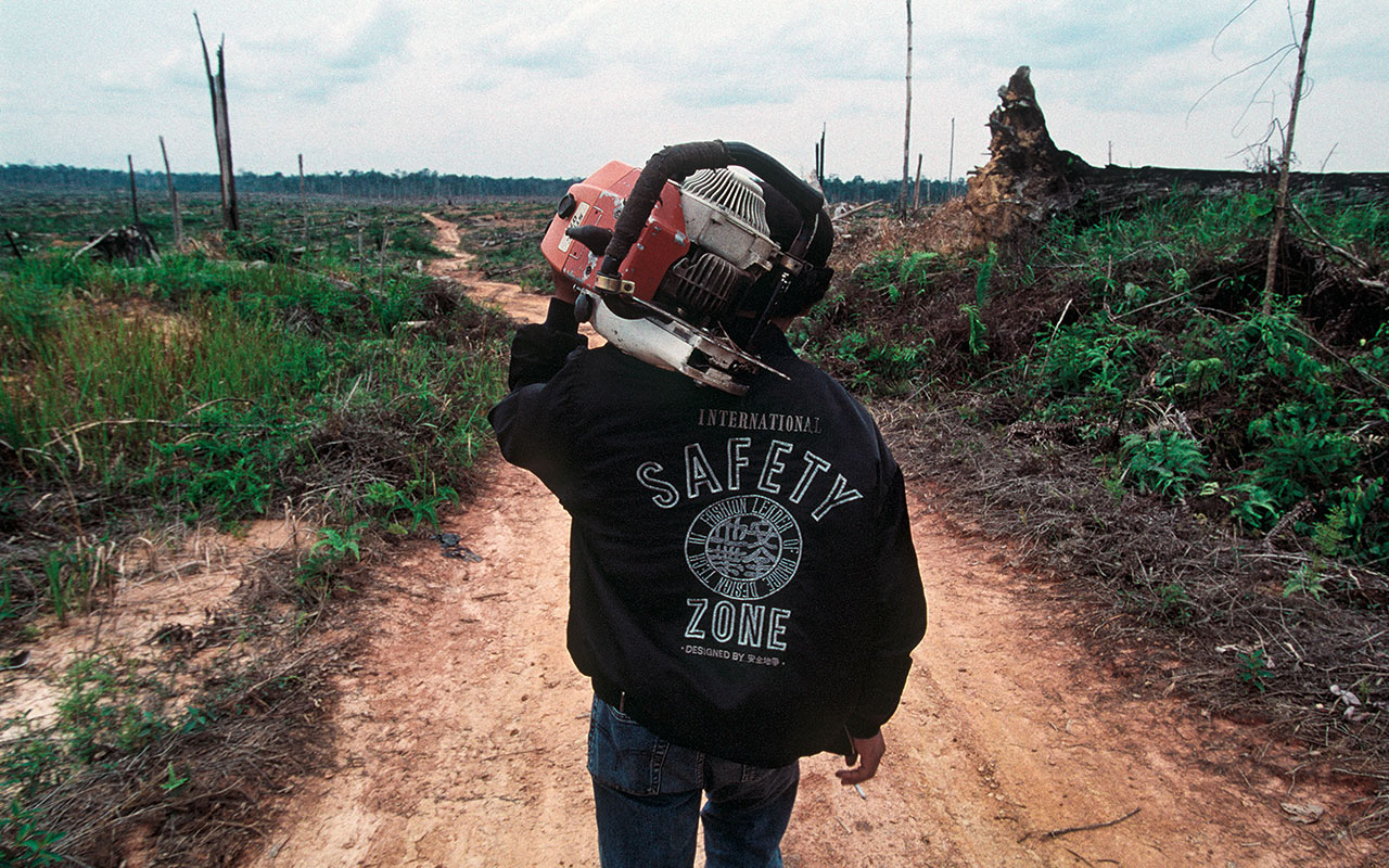 Indonesien: Inmitten einer verwüsteten Landschaft liegen die Basislager illegaler Holzfäller. Photo: Christoph Püschner/Zeitenspiegel