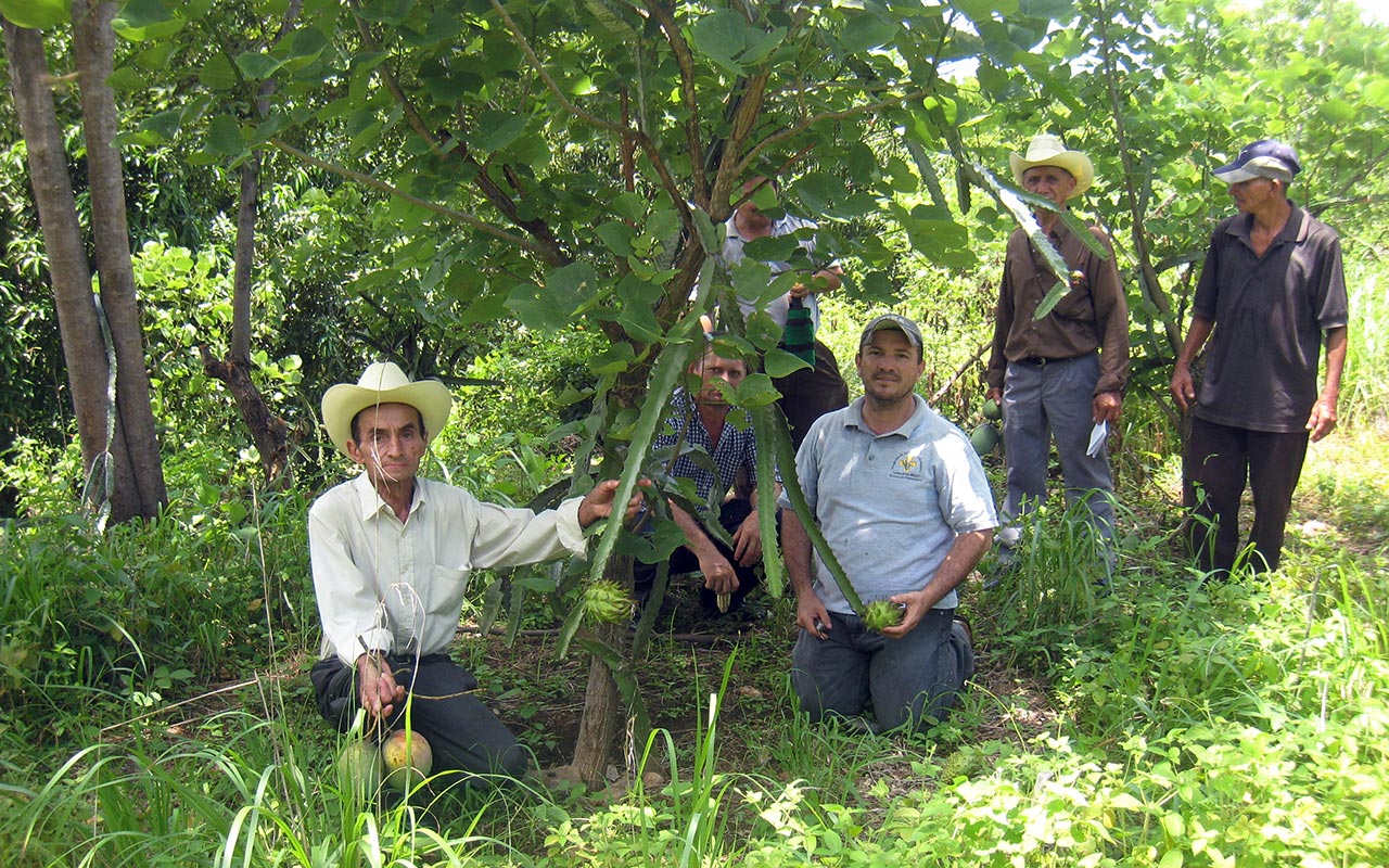 Stolz, ein Bauer sein: Vielen Landwirten in El Salvador fehlt es an Selbstachtung. Photo: Caritas San Miguel