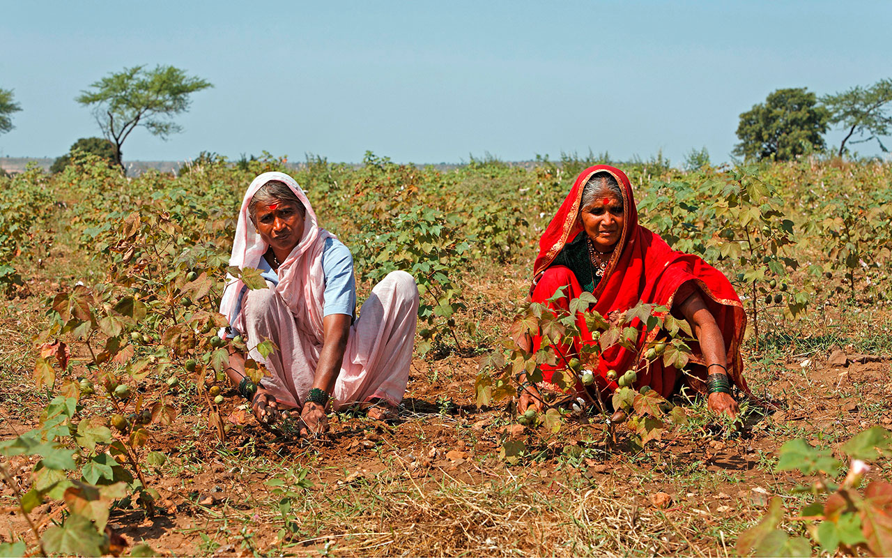 Ich bin ein Alternativtext