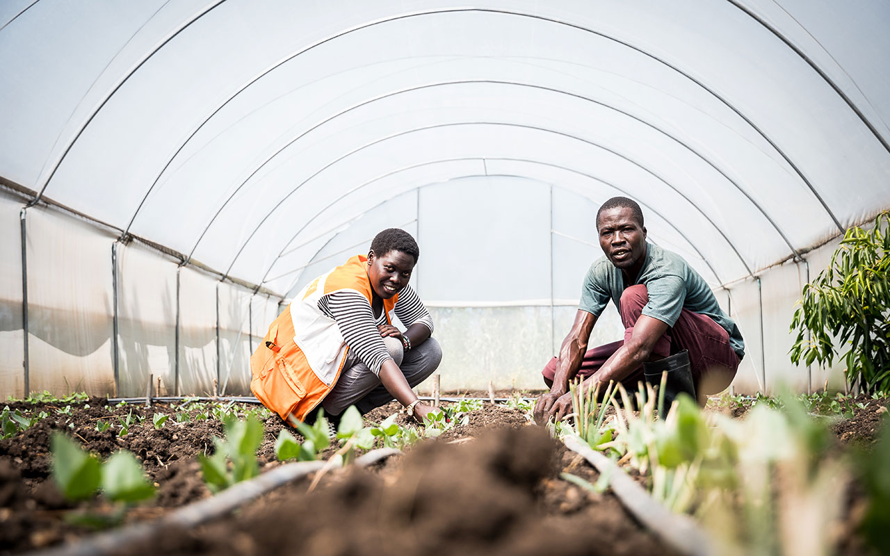 Ich bin ein Alternativtext